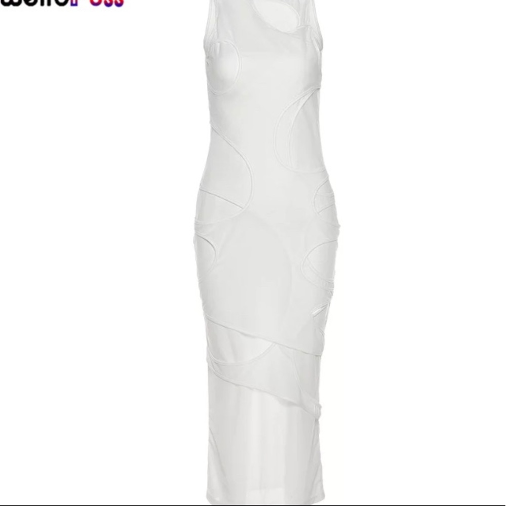 Mesh dress see through